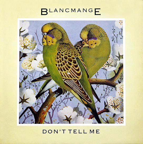 Blancmange - Don't Tell Me - Near Mint (NM or M-) - Vinyl