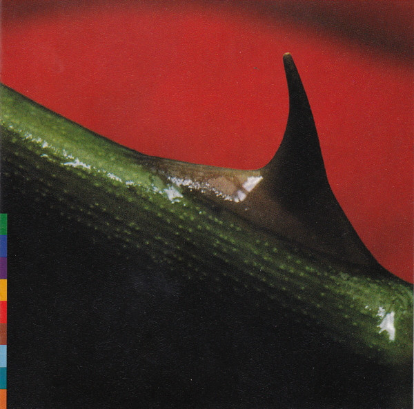 Nusrat Fateh Ali Khan & Michael Brook - Night Song - Near Mint (NM or M-) - CD
