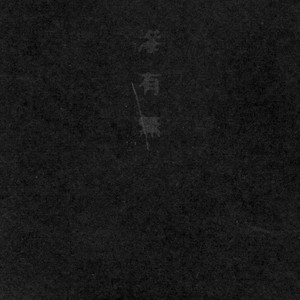 灰野敬二* - 滲有無 - Mint (M) - CD