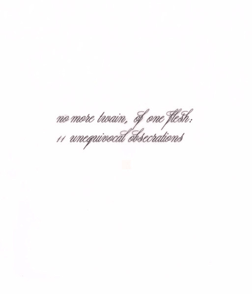 The Hafler Trio - No More Twain, Of One Flesh: 11 Unequivocal Obsecrations - Near Mint (NM or M-) - CD