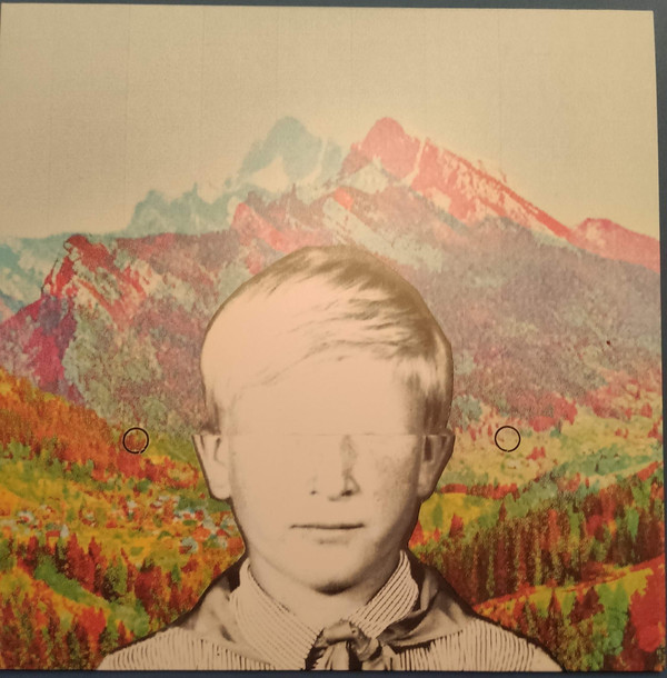 Julie's Haircut - Ashram Equinox - Near Mint (NM or M-) - Vinyl
