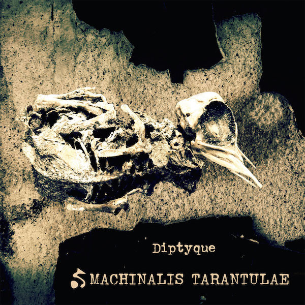 Machinalis Tarantulae - Diptyque - Mint (M) - CD