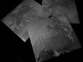 Devil's Breath - Embrace Of The Serpent - Near Mint (NM or M-) - CD