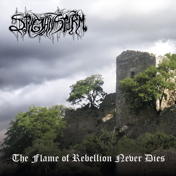 Stygian Storm - The Flame Of Rebellion Never Dies - Near Mint (NM or M-) - Vinyl