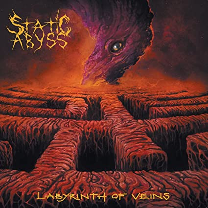 Static Abyss - Labyrinth Of Veins - Mint (M) - Vinyl
