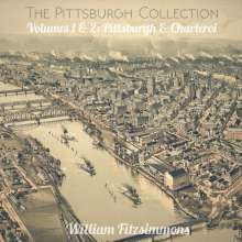 William Fitzsimmons - The Pittsburgh Collection Volumes 1 & 2: Pittsburgh & Charleroi - Mint (M) - Vinyl