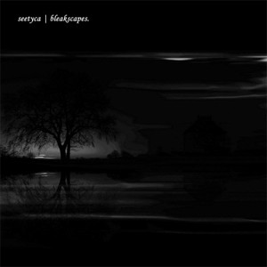 Seetyca - Bleakscapes - Mint (M) - CD