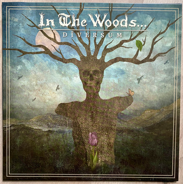 In The Woods... - Dīversum - Mint (M) - Vinyl