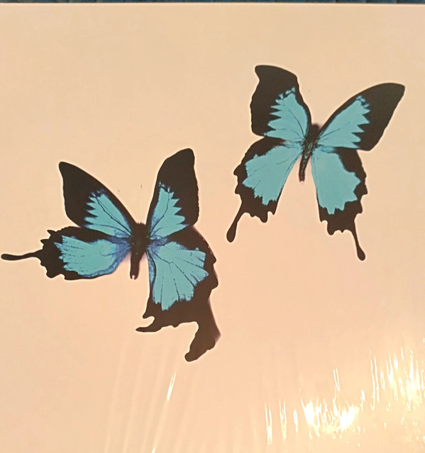 Korine - Tear - Mint (M) - Vinyl