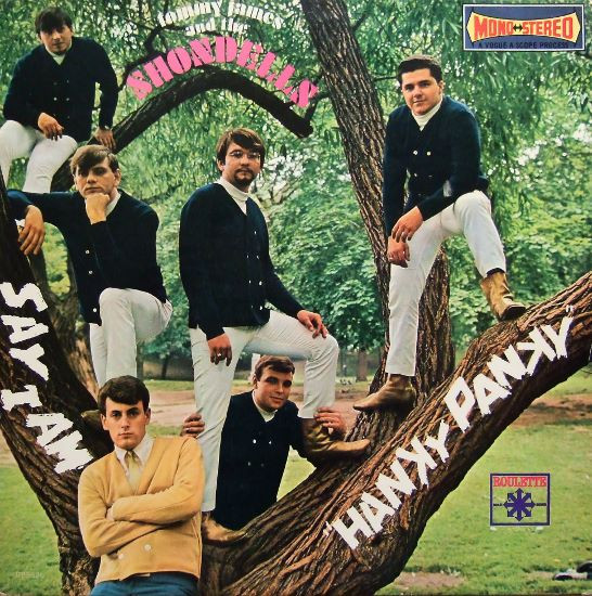 Tommy James & The Shondells - Hanky Panky - Very Good Plus (VG+) - Vinyl