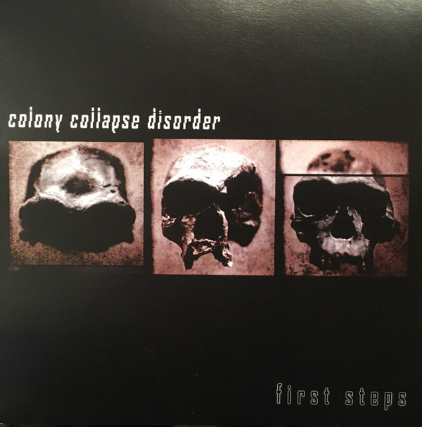 Colony Collapse Disorder - First Steps - Near Mint (NM or M-) - CDr