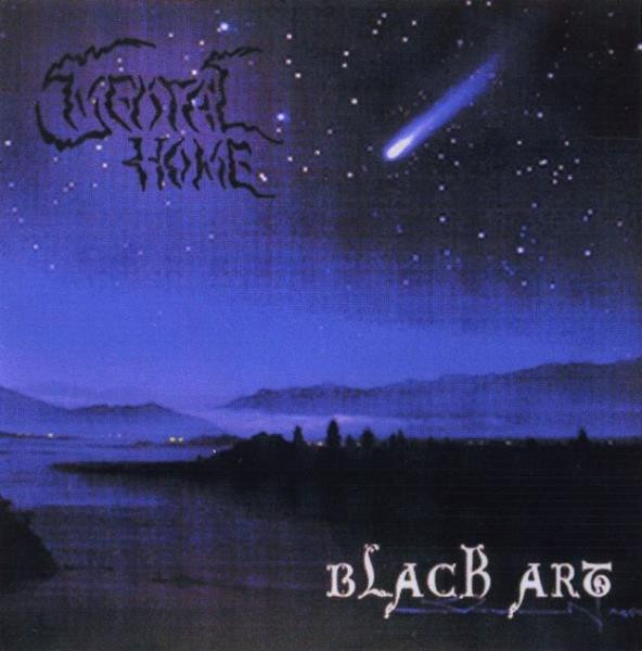 Mental Home - Black Art - Near Mint (NM or M-) - CD
