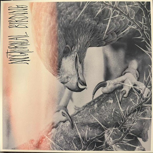 Author & Punisher - Nocturnal Birding - Mint (M) - Vinyl