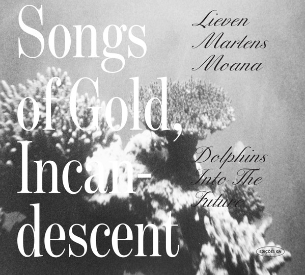 Dolphins Into The Future / Lieven Martens Moana* - Songs Of Gold, Incandescent - Mint (M) - CD