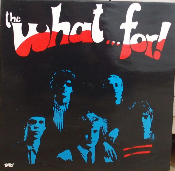 The What...For! - The What...For! - Very Good Plus (VG+) - Vinyl
