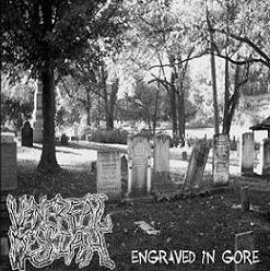 Venereal Messiah - Engraved In Gore - Near Mint (NM or M-) - CDr