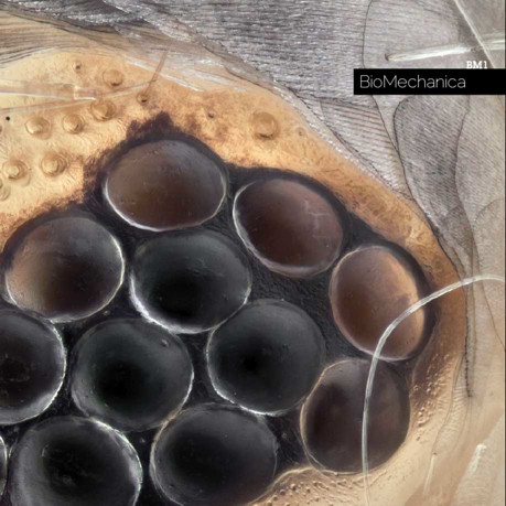BioMechanica - BM01 - Mint (M) - CD