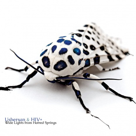 Ushersan* & HIV+ - Wide Lights From Hatred Springs - Very Good Plus (VG+) - CD