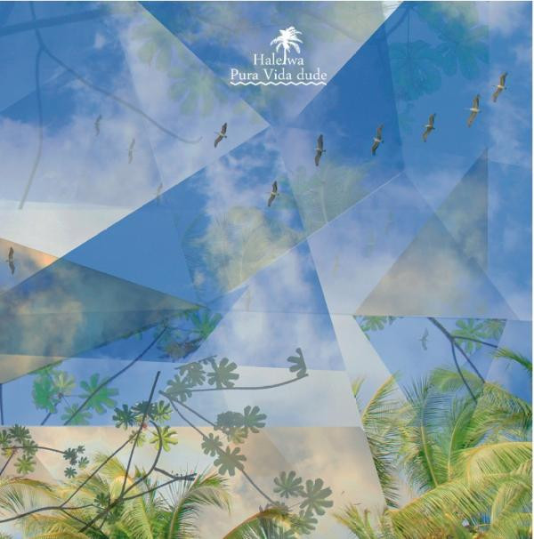 Haleiwa - Pura Vida Dude - Mint (M) - CD
