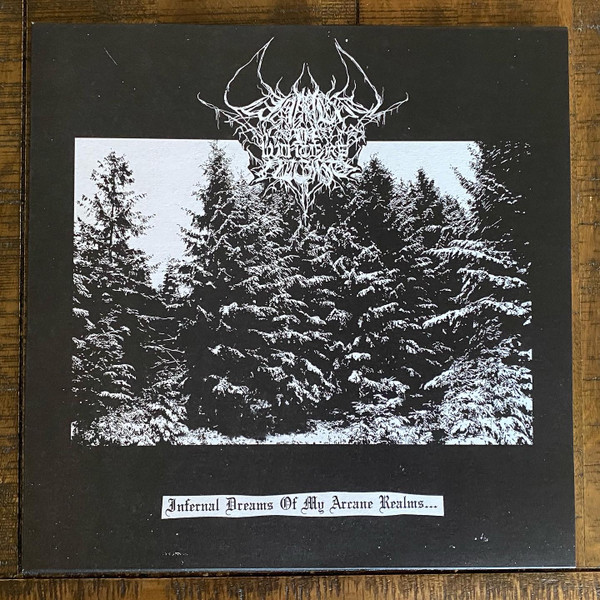 Lament In Winter's Night - Infernal Dreams Of My Arcane Realms... - Mint (M) - Vinyl