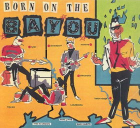 Various - Born On The Bayou - Very Good Plus (VG+) - Vinyl