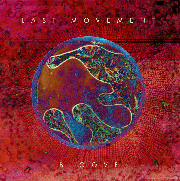 Last Movement - Bloove - Mint (M) - Vinyl