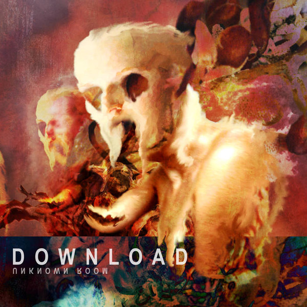 Download - Unknown Room - Near Mint (NM or M-) - Vinyl