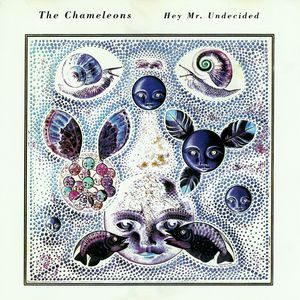 The Chameleons – Hey Mr. Undecided - M/M - CD