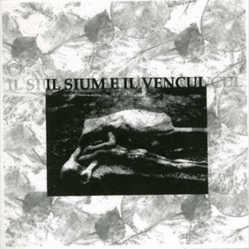 Various - Il Sium E Il Vencul - Mint (M) - Vinyl