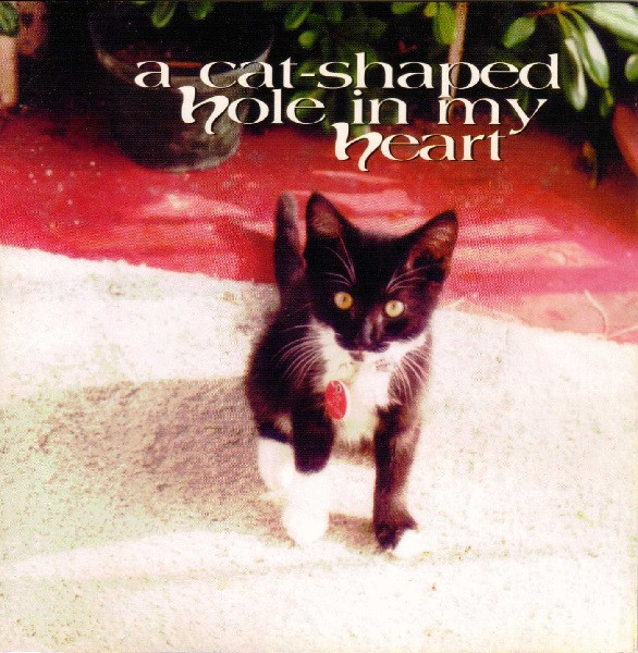 Various - A Cat-Shaped Hole In My Heart - Near Mint (NM or M-) - CD