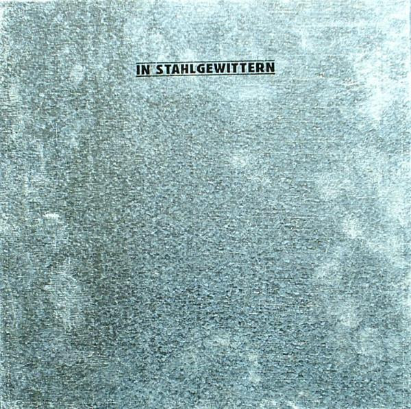Various - In Stahlgewittern (II. Kapitel) - Mint (M) - Vinyl,Box Set
