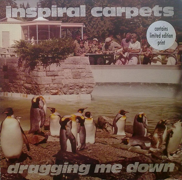 Inspiral Carpets - Dragging Me Down - Very Good Plus (VG+) - Vinyl