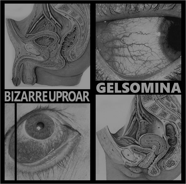 Gelsomina / Bizarre Uproar - Älä Tee Huorin - Mint (M) - Vinyl