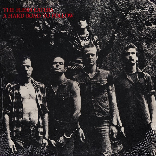 The Flesh Eaters - A Hard Road To Follow - Near Mint (NM or M-) - Vinyl