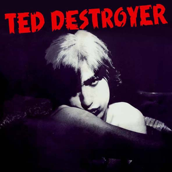Ted Destroyer - Ted Destroyer - Mint (M) - Vinyl