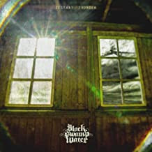 Black Swamp Water - Distant Thunder - Mint (M) - CD