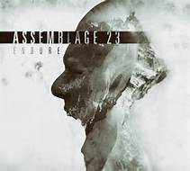 Assemblage 23 - Endure - Mint (M) - CD