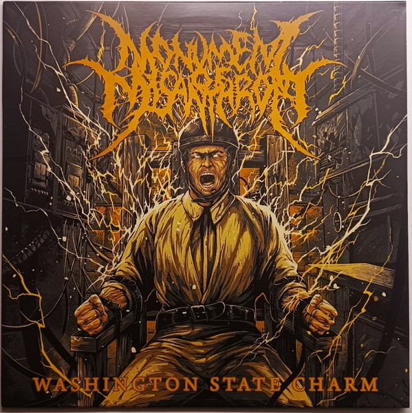 Monument Of Misanthropy - Washington State Charm - Mint (M) - Vinyl