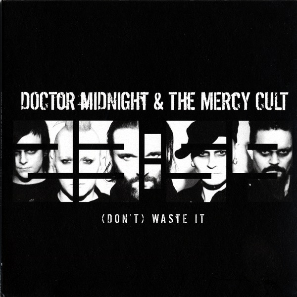 Doctor Midnight & The Mercy Cult - (Don't) Waste It - Mint (M) - Vinyl