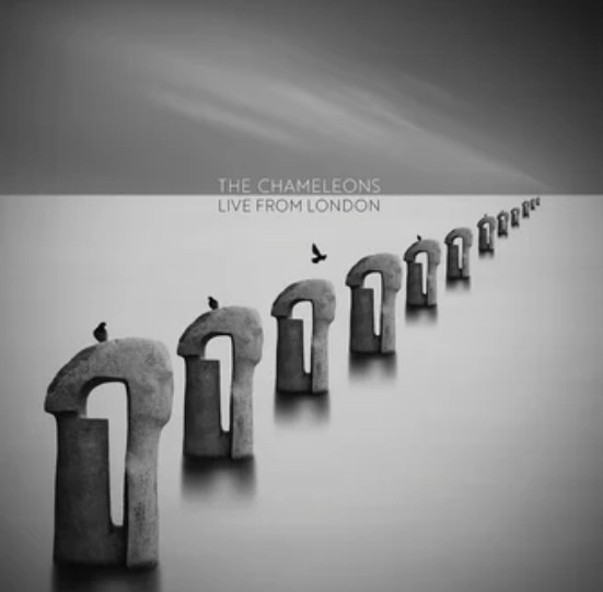 The Chameleons - Live From London - Mint (M) - Vinyl