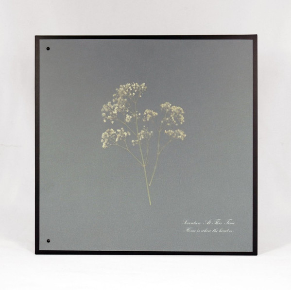 Seventeen At This Time - Home is where the heart is - Mint (M) - Vinyl