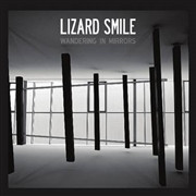 Lizard Smile - Wandering In Mirrors - Mint (M) - Vinyl