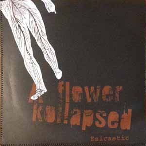 A Flower Kollapsed / Esicastic (2) - A Flower Kollapsed / Esicastic - Near Mint (NM or M-) - Vinyl