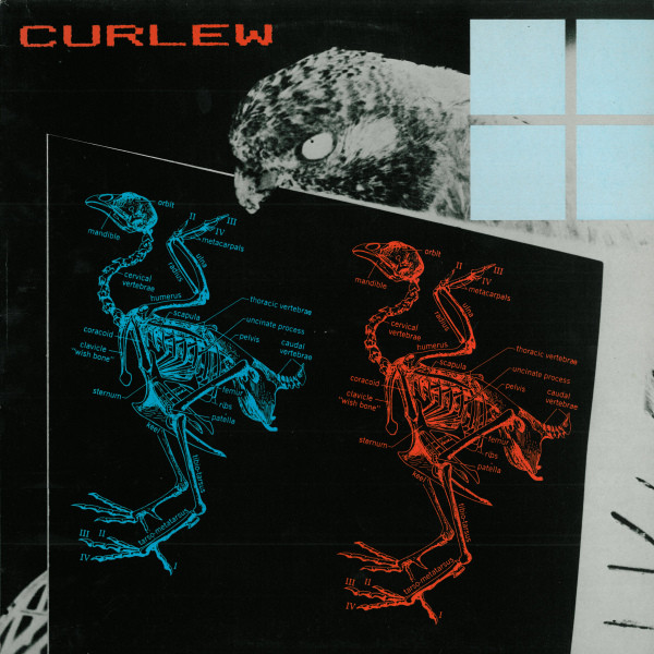 Curlew - Curlew - Very Good Plus (VG+) - Vinyl