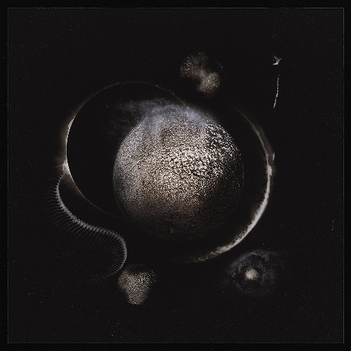 Enthroned - Cold Black Suns - Mint (M) - CD
