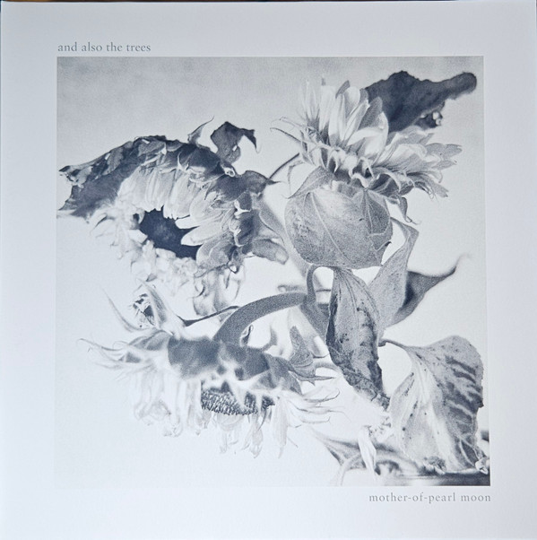 And Also The Trees - Mother-of-pearl Moon - Mint (M) - Vinyl
