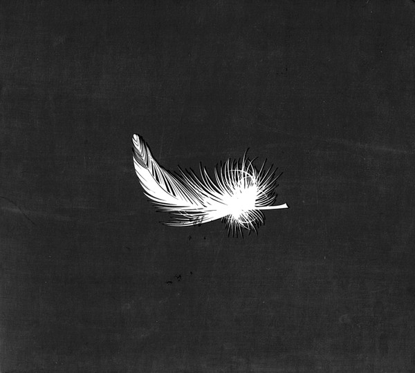 Rumours About Angels - Birth Process - Mint (M) - CD