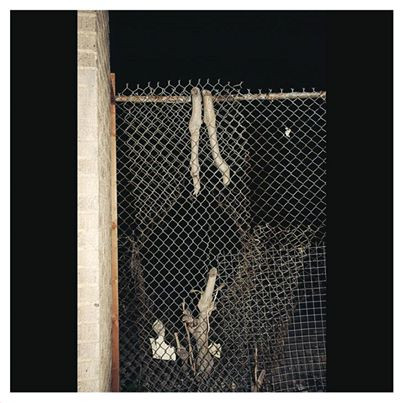Bruta Non Calculant - World In A Tear - Mint (M) - Vinyl