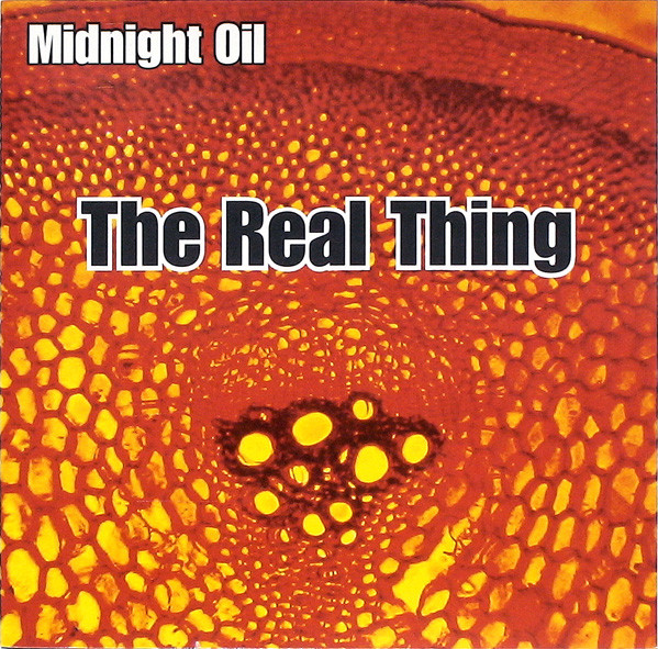 Midnight Oil - The Real Thing - Mint (M) - CD