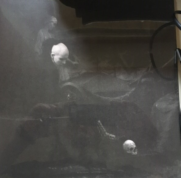 Sopor Aeternus & The Ensemble Of Shadows - Birth - Fiendish Figuration - Mint (M) - Vinyl